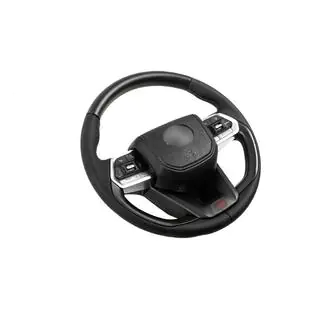Kompletní volant design TLC300 (dřevo) fotografie 4