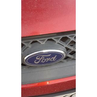 Přední emblém (na klipsech) Ford Fiesta 2002–2008 fotografie 4