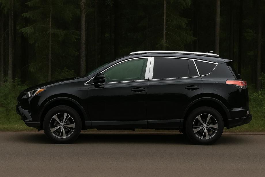 Toyota Rav 4 2013–2018 Kompletní rámování oken (sada) Image