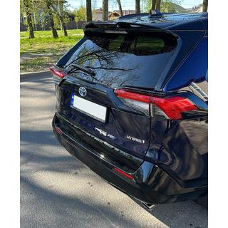 Spoiler (černý) fotografie 4