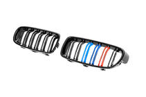 BMW řada 3 F30/F31 2012–2019 Ledvinky M-Look (M-Color) fotografie 6