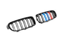 BMW řada 3 F30/F31 2012–2019 Ledvinky M-Look (M-Color) fotografie 5