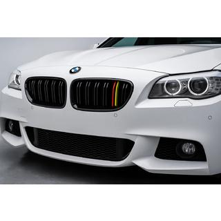 Mřížky chladiče (ledvinky) M-Look (German Color) BMW řada 5 F10/F11 2010–2016 fotografie 1