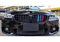 BMW řada 5 F10/F11 2010–2016 Ledvinky M-Look (M-Color) fotografie 3